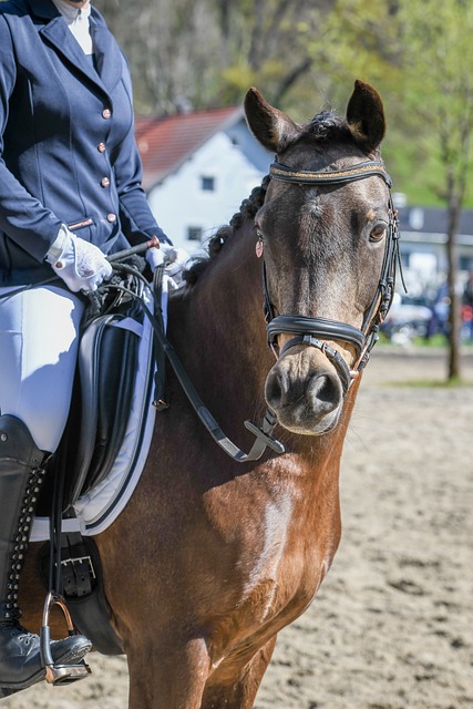 力的考量 力的考量