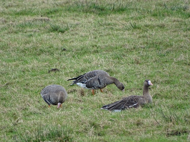 内实现出色 内实现出色