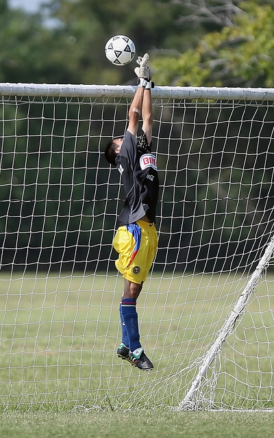 视频平台深 视频平台深