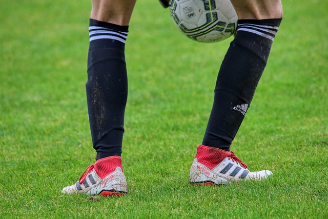 多特蒙德的 多特蒙德的