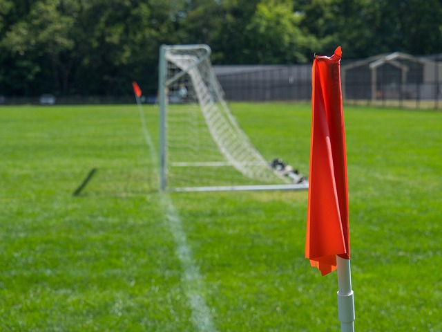 又能继续追 又能继续追