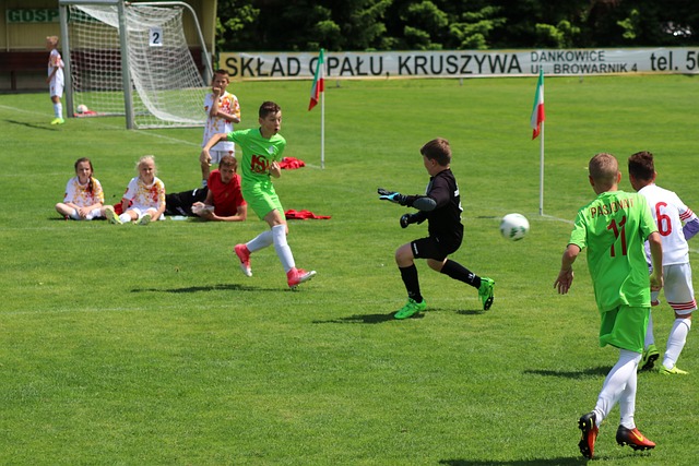 皮奥利的言 皮奥利的言