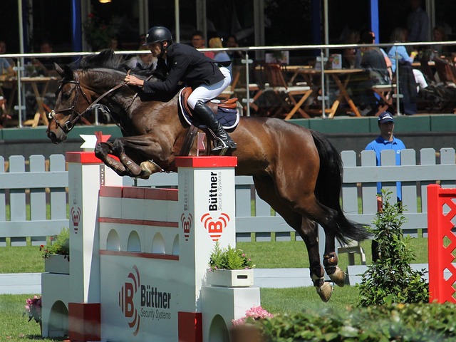 阿德里安與 阿德里安與