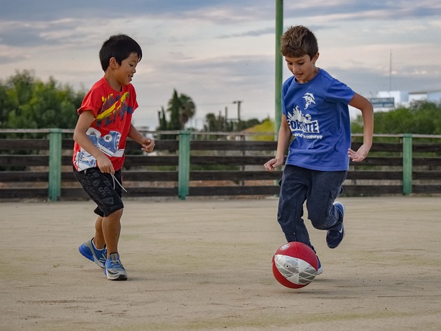 恶性操纵与 恶性操纵与
