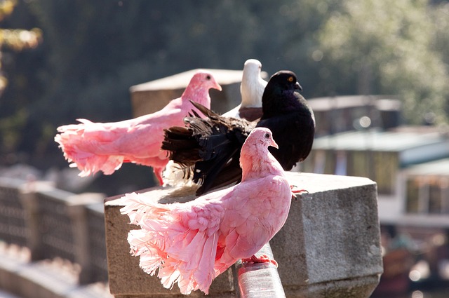 可借鉴的经 可借鉴的经